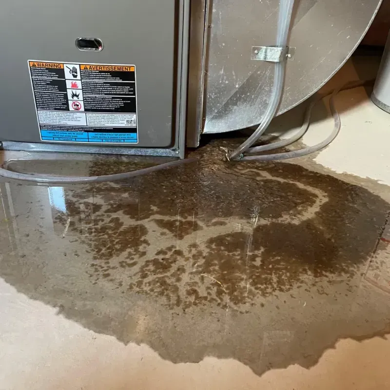 Appliance Leak Cleanup in Raceland, KY